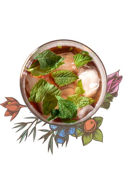 Sloe Gin - 25%